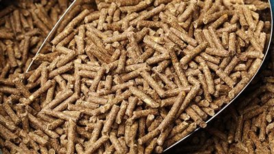 ارتفاع متذبذب في أسعار الأعلاف اليوم السبت 18 أكتوبر