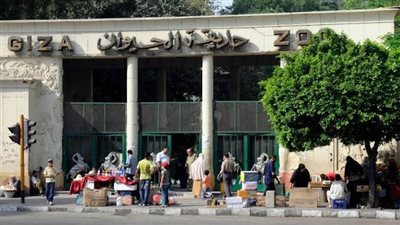 رسميًا.. إعادة افتتاح حديقة الحيوان بالجيزة في سبتمبر بعد إغلاق 18 شهرًا 