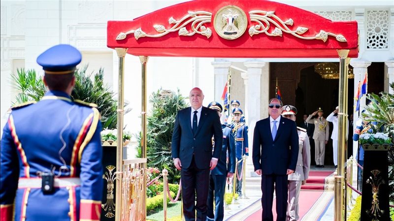 القارئ نيوز