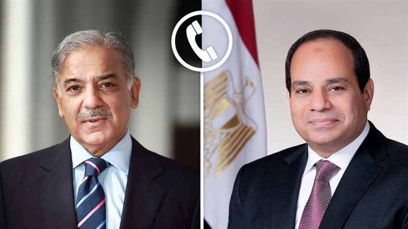 القارئ نيوز