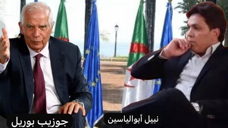 القارئ نيوز