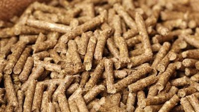 ارتفاع أسعار الأعلاف والخامات اليوم الجمعة 31-10-2025