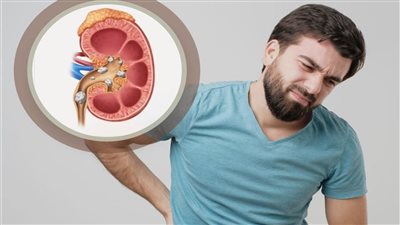 من مطبخك.. مشروبات تساعدك في تنظيف الكلى والتخلص من الأملاح الزائدة