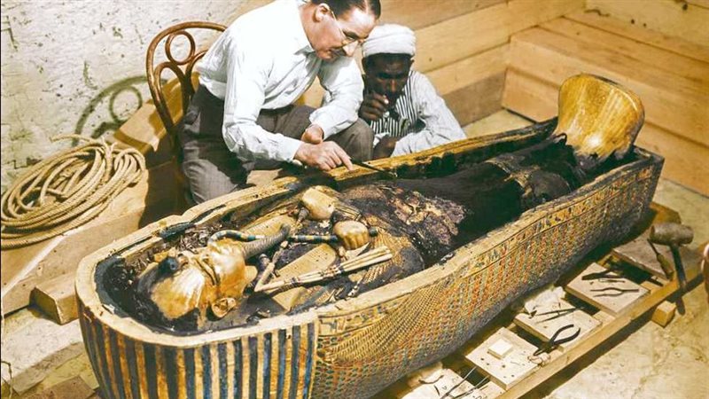 القارئ نيوز