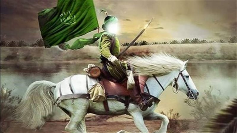 القارئ نيوز