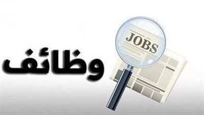 فرصة مميزة للمهندسين.. وظائف شاغرة في «هيئة النقل النهري» برواتب تنافسية