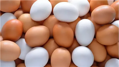 تراجع سعر كرتونة البيض اليوم الأثنين بالأسواق المحلية