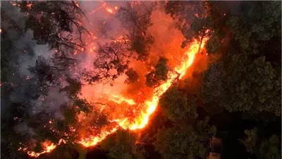 حرائق غير مسبوقة في اللاذقية.. 4 أيام من النيران والدفاع المدني يستغيث