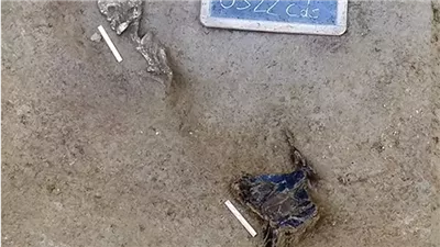 بقايا رضيع تكشف أسرار جينية مدهشة تعود لعصر النحاس