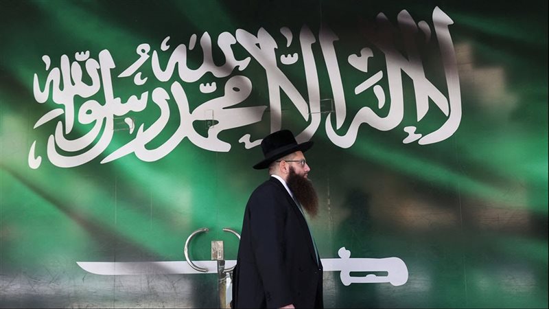 القارئ نيوز