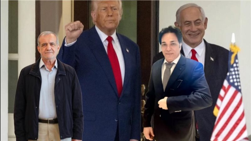 القارئ نيوز