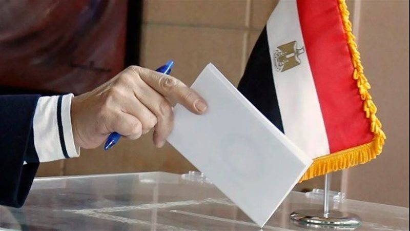 القارئ نيوز
