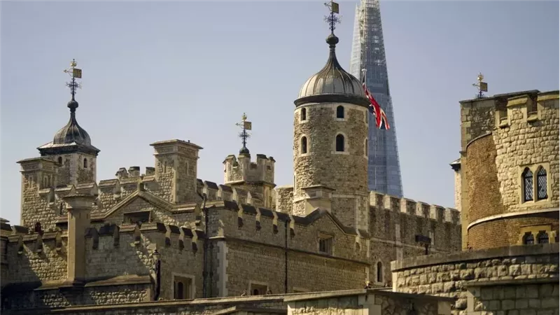 القارئ نيوز