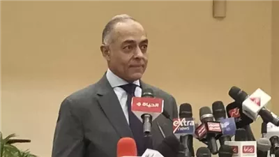 خارج السباق الانتخابي.. 5 دول تغيب عن تصويت المصريين بالخارج لأسباب أمنية