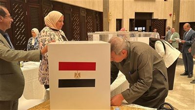 المصريون في إيطاليا يتوافدون على السفارات للمشاركة في انتخابات مجلس الشيوخ