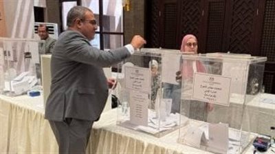 السفارة المصرية في فيينا تبدأ التصويت بانتخابات مجلس الشيوخ 2025