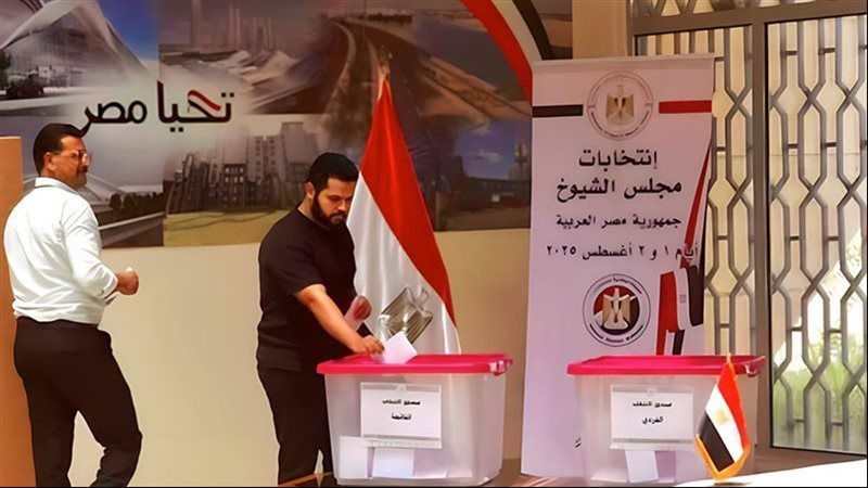 انتخابات مجلس الشيوخ