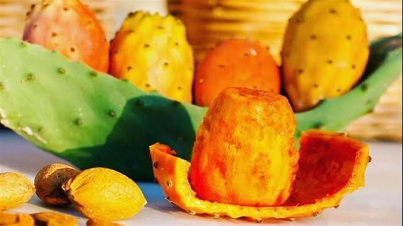 التين الشوكي