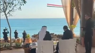 لقاء ودي يجمع الرئيس السيسي والشيخ بن زايد على شاطئ العلمين