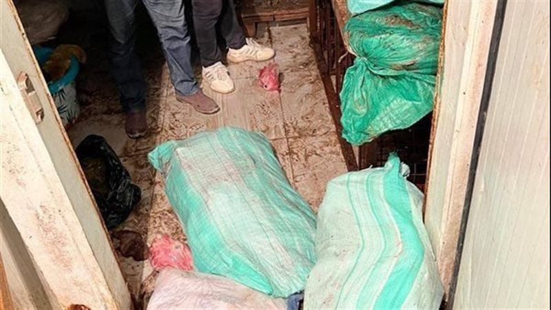 ضبط 3 أطنان أحشاء