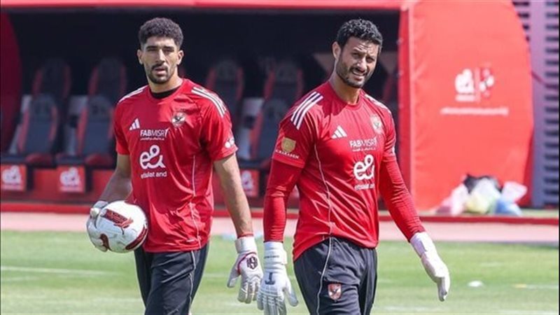 القارئ نيوز
