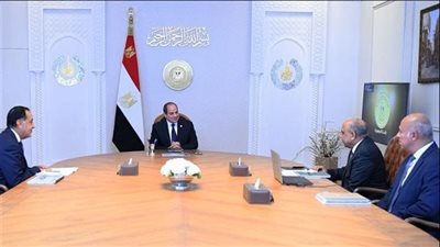الرئيس السيسي يوجه بزيادة الاعتماد على الطاقات النظيفة في مزيج الطاقة المصري