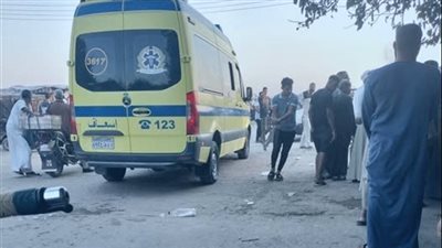 حادث مأساوي في أسيوط.. مصرع طفلين وإصابة 7 آخرين 