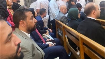 «أي حد فيكم يتكلم».. خلاف بين محامي سارة خليفة أمام المحكمة 