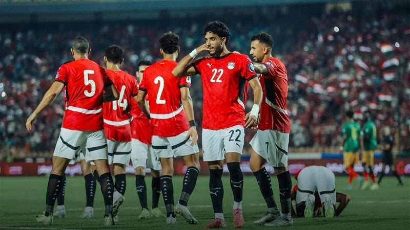 القارئ نيوز