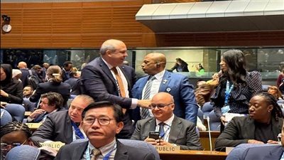 مصر تفوز بمقعد الفئة الثانية في مجلس الإيكاو