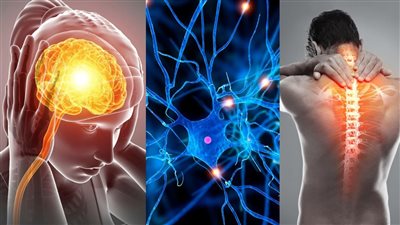 نتائج واعدة لتجربة علاجية تقلل مضاعفات «التصلب المتعدد»