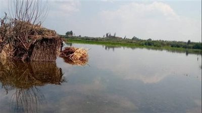 متحدث الري.. أرسلنا خطابات تحذير قبل غمر أراضي طرح النهر