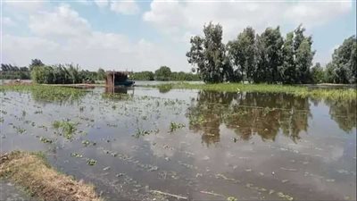 محافظة قنا توجه بسرعة إخلاء منازل طرح النهر