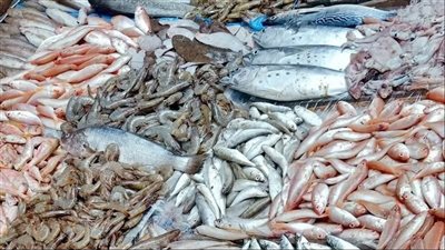 أسعار الأسماك والمأكولات البحرية بسوق العبور اليوم الجمعة