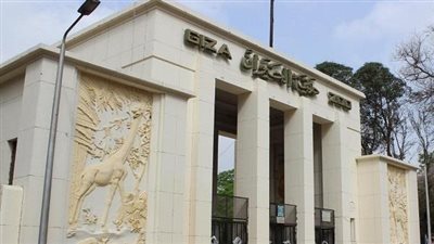 موعد افتتاح «حديقة الحيوان بالجيزة» بعد التطوير الشامل
