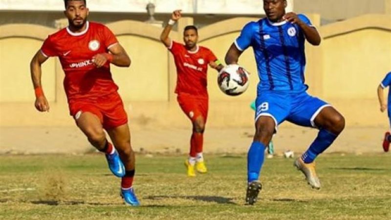 القارئ نيوز