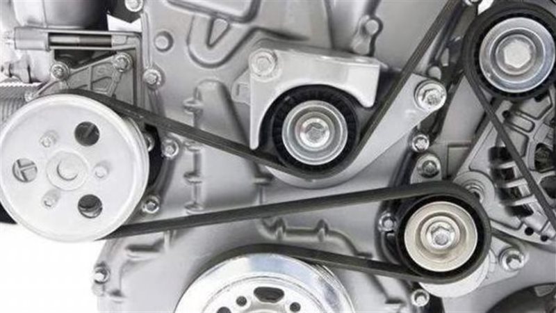 سيور المحرك