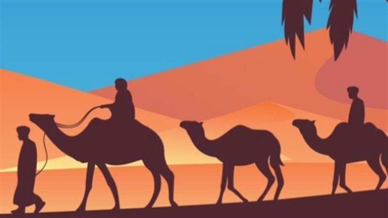 القارئ نيوز