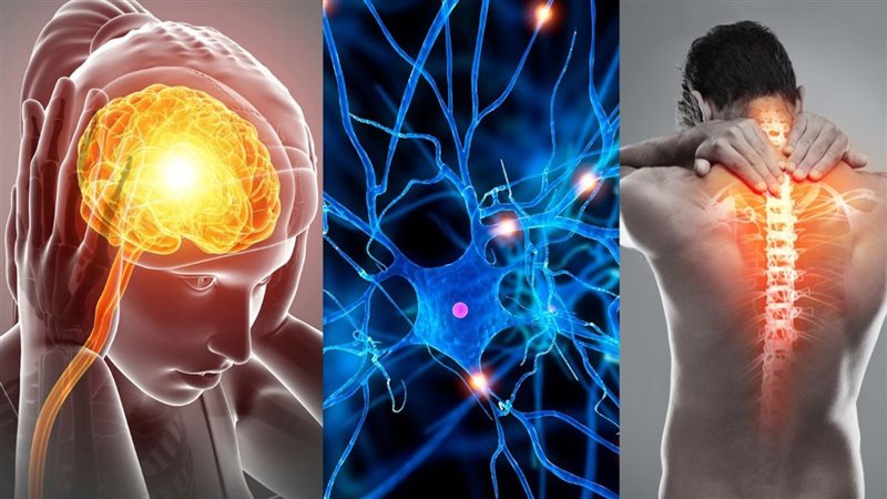 التصلب المتعدد