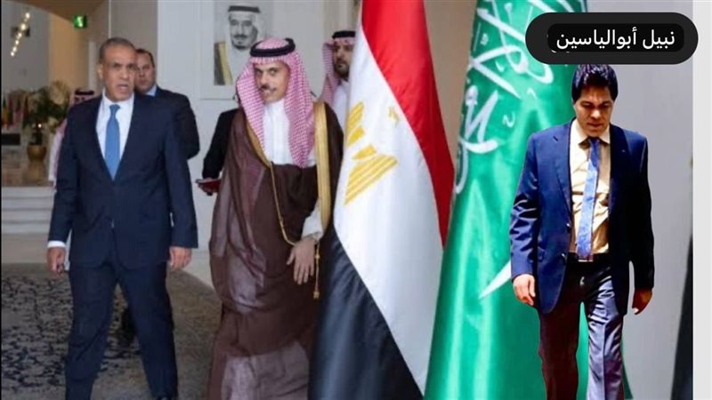 القارئ نيوز