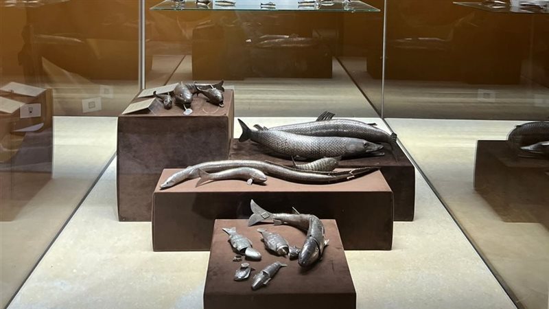 القارئ نيوز