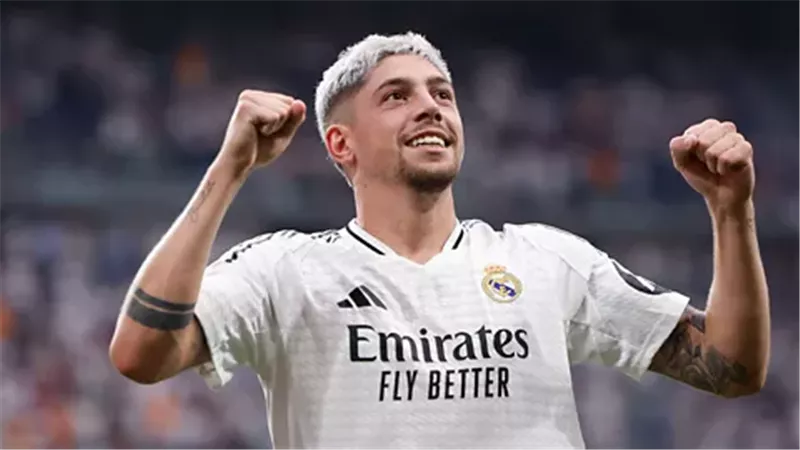 القارئ نيوز