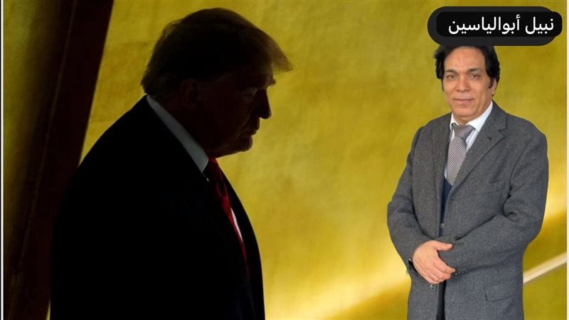 القارئ نيوز