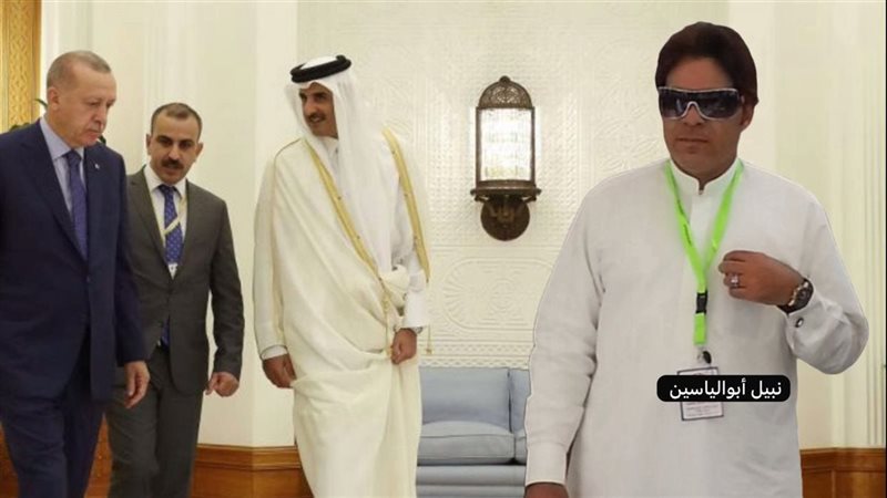 القارئ نيوز