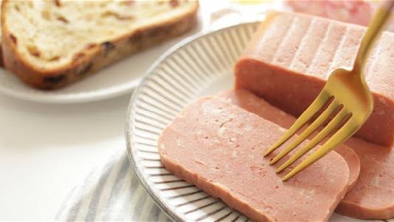 القارئ نيوز