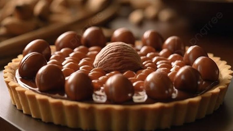 القارئ نيوز