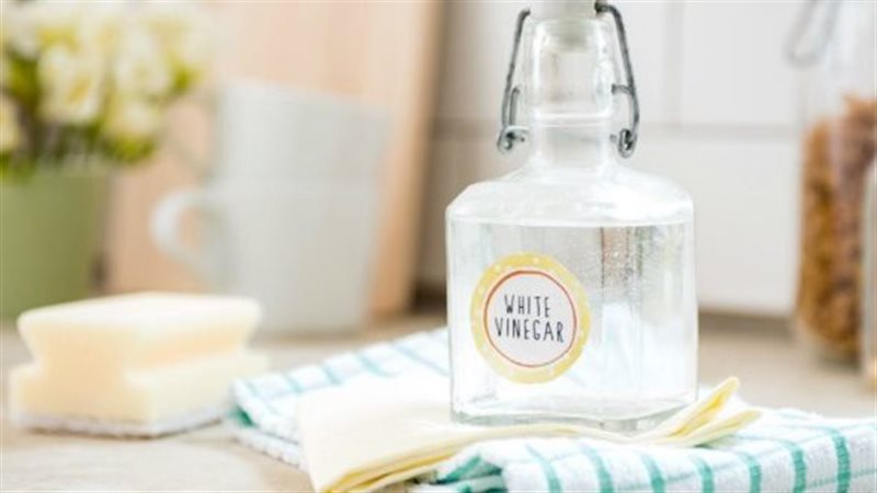 الخل الأبيض 