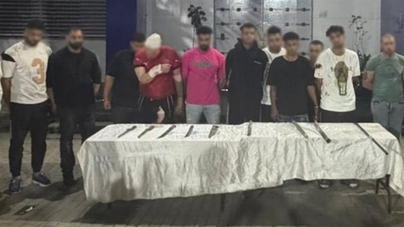 القارئ نيوز