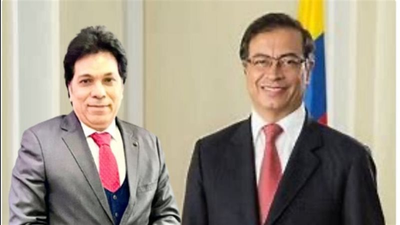 القارئ نيوز