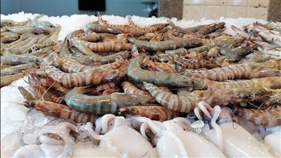 تباين أسعار الأسماك اليوم الاثنين 3 نوفمبر 2025 بالأسواق